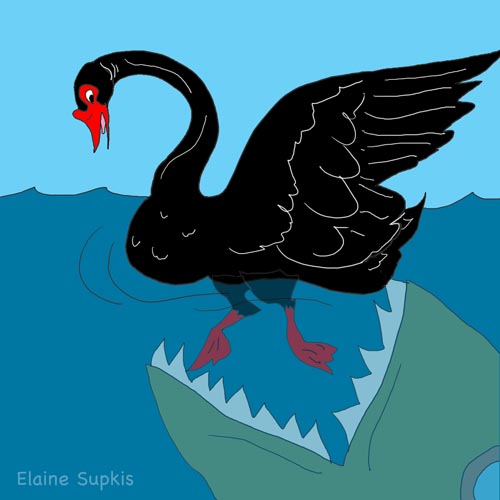 Black Swan Ending Explained. Black Swans And The Collapse
